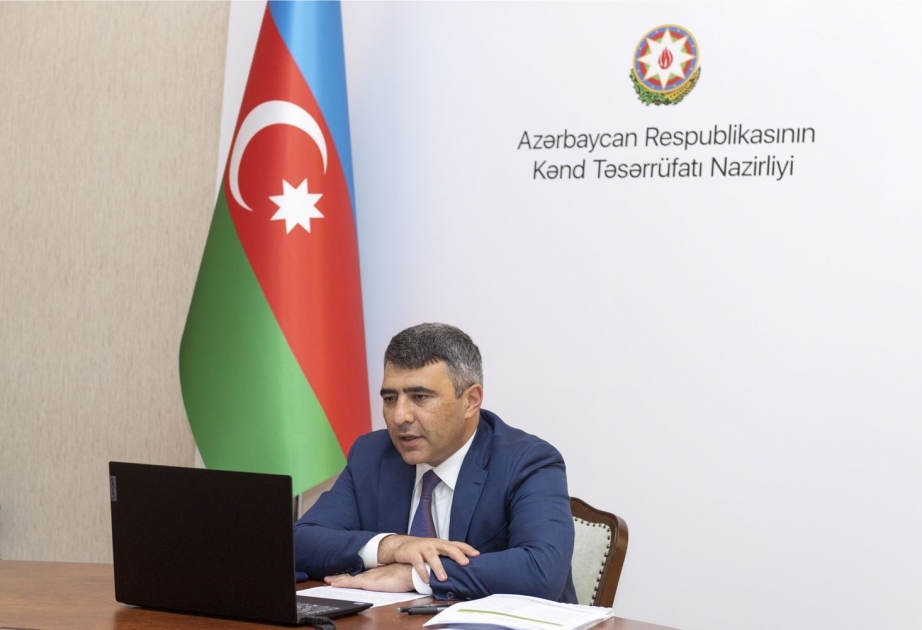 Kənd Təsərrüfatı Nazirliyində fındıq istehsalçıları və ixracatçıları ilə onlayn videokonfrans keçirilib
