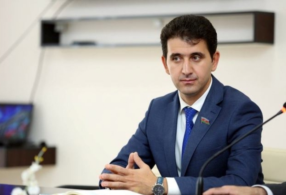 Ermənistanın avantürist, məkrli planı tezliklə puç olacaq
