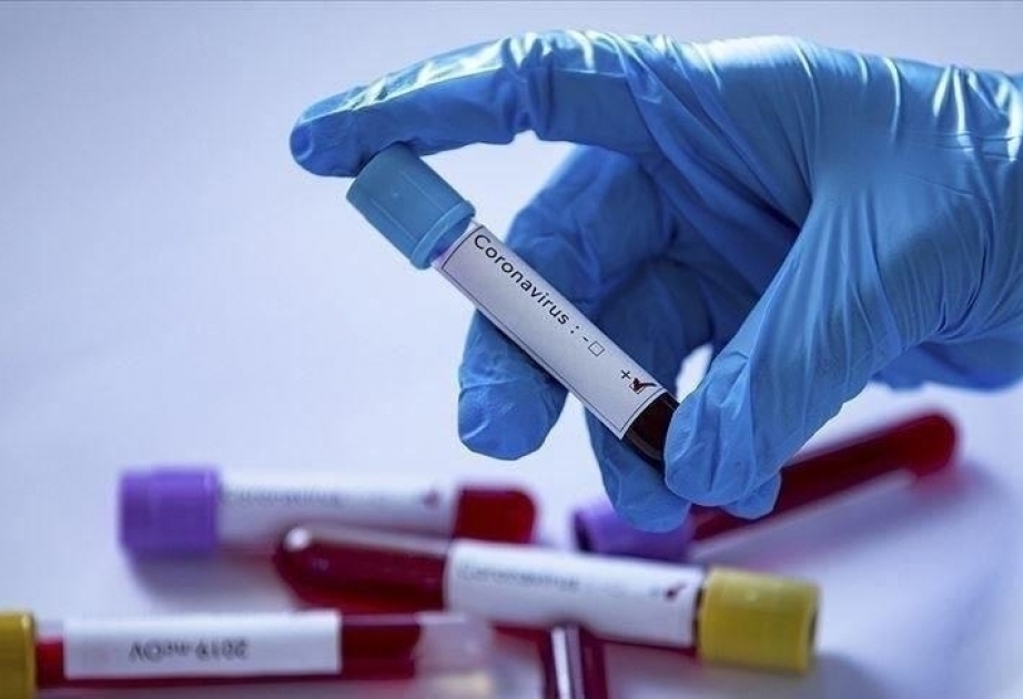 640 new coronavirus cases reported in Pakistan