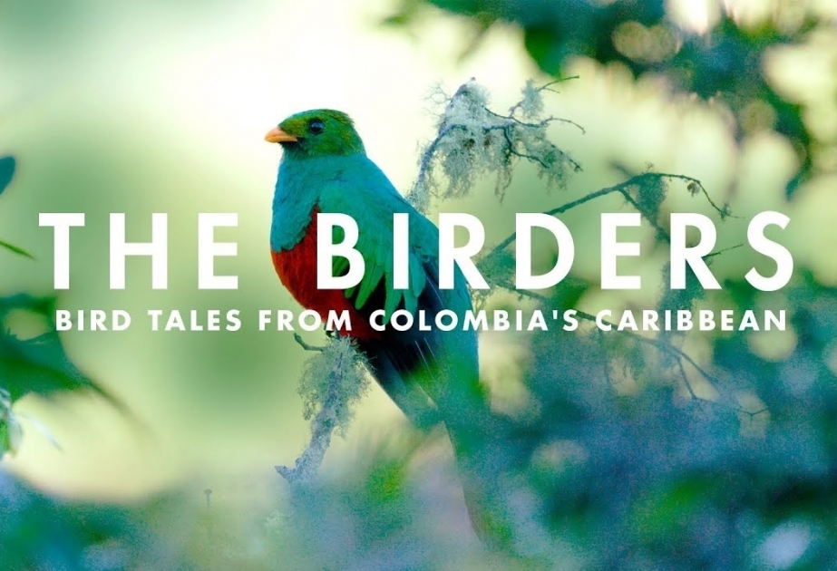 La Embajada de Colombia en Azerbaiyán invita a todos a unirse al evento