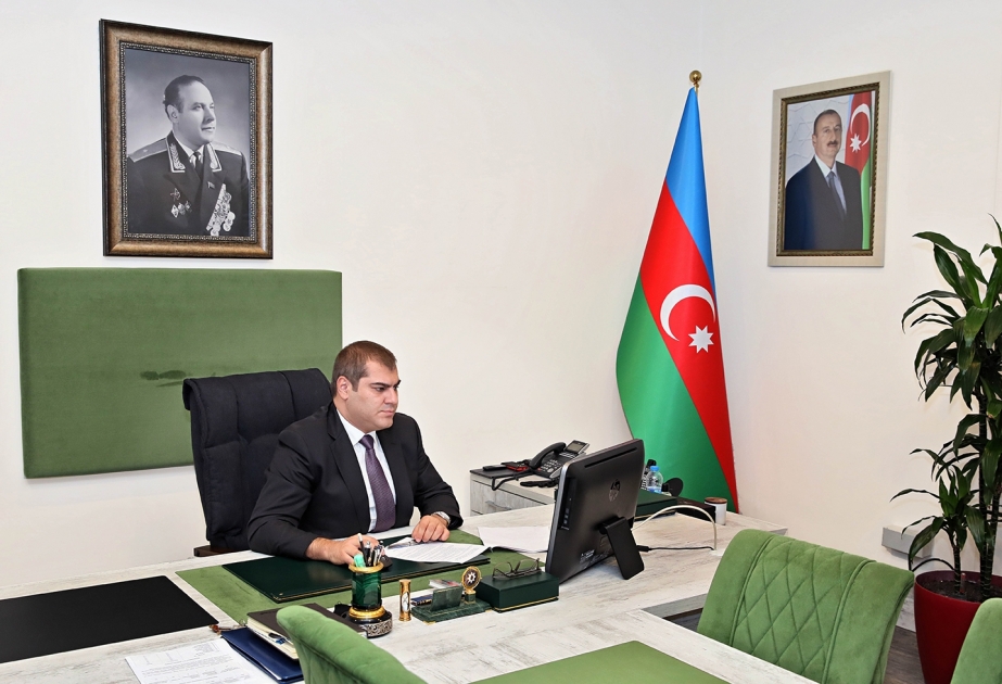 Vətəndaşsızlıq məsələləri ilə əlaqədar işçi qrupunun ilk iclası onlayn formatda keçirilib