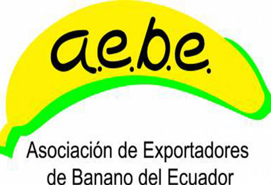 Exportadores de Banano de Ecuador preparan cita internacional