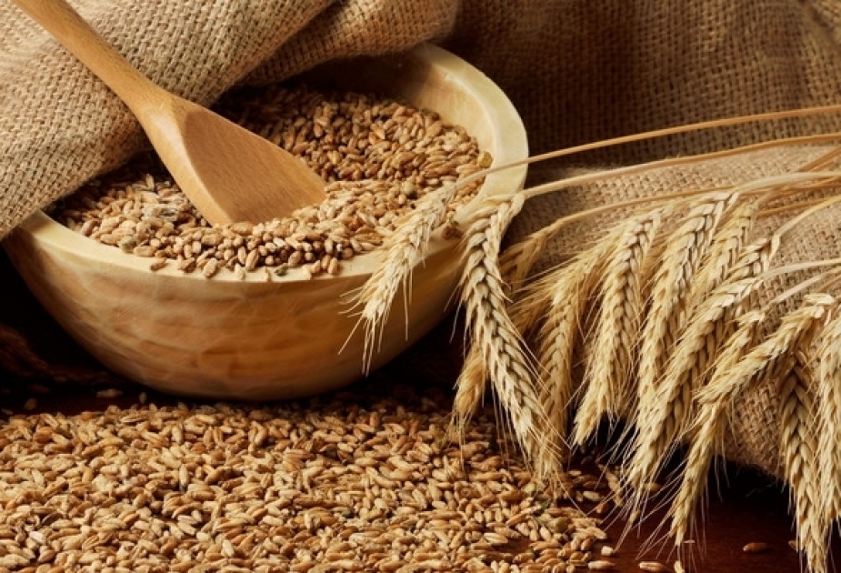 Les importations azerbaïdjanaises de blé ont diminué