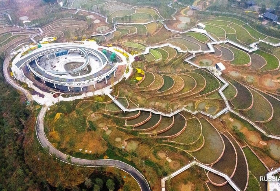 Бывший промышленный пустырь в Китае превратился в цветущий парк