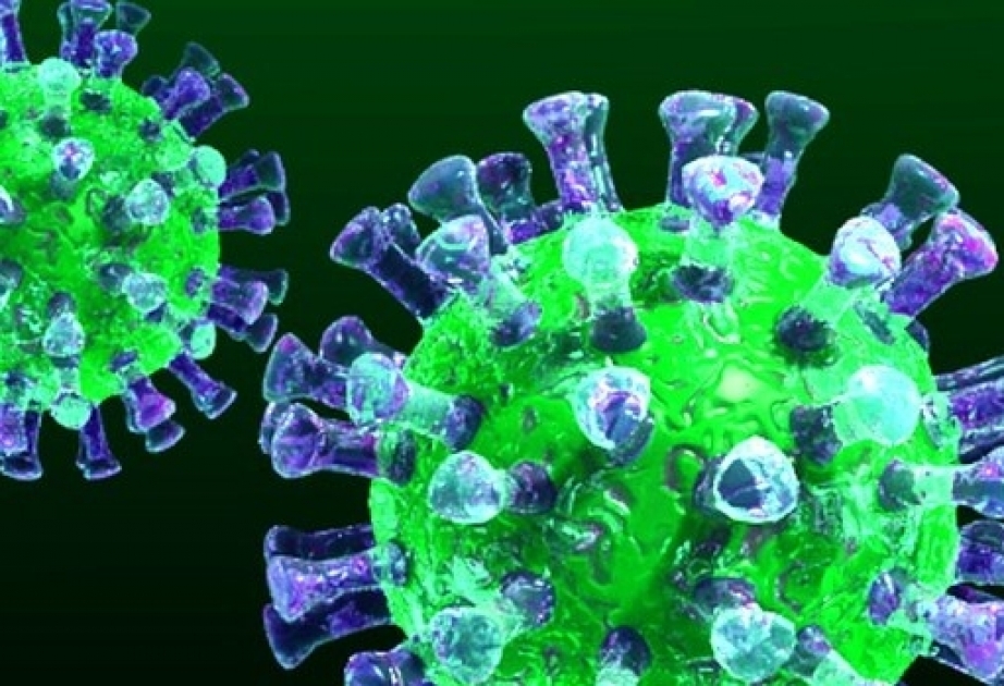 Paytaxtda koronavirusa ən az yoluxma halı Pirallahı rayonunda qeydə alınıb