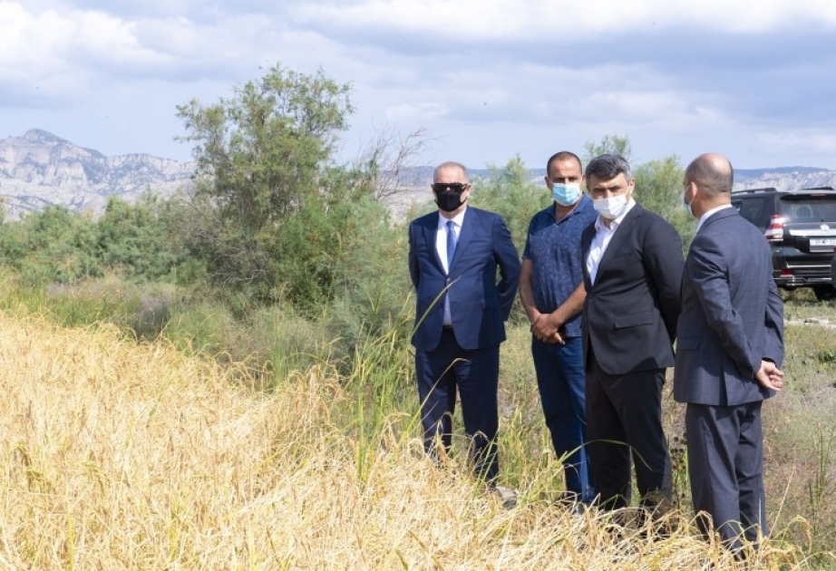 Kənd Təsərrüfatı naziri Ağdaş və Göyçayda təsərrüfatlara baş çəkib, fermerlərlə görüşüb