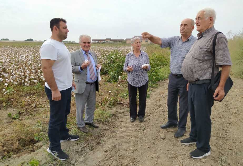 Azərbaycanlı alimlər dünyada ilk dəfə vulkan palçığından gübrə əldə ediblər  FOTO VİDEO