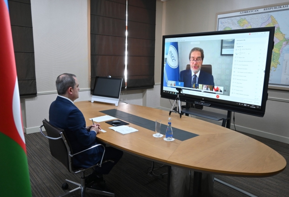 Azərbaycanın Xarici İşlər naziri QDİƏT-in videokonfrans formatında keçirilən qeyri-rəsmi iclasında çıxış edib