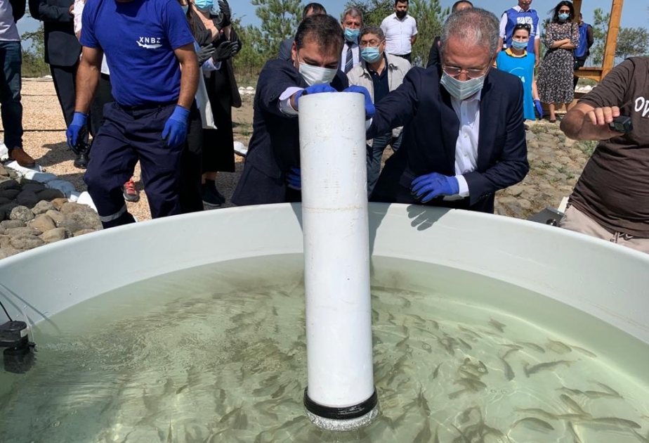 Ümumdünya Turizm Gününə və Qızılağac Milli Parkının yaradılmasına həsr edilmiş tədbir keçirilib