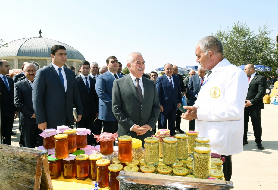 Naxçıvanda “Arıçılıq məhsulları - bal festivalı” keçirilib