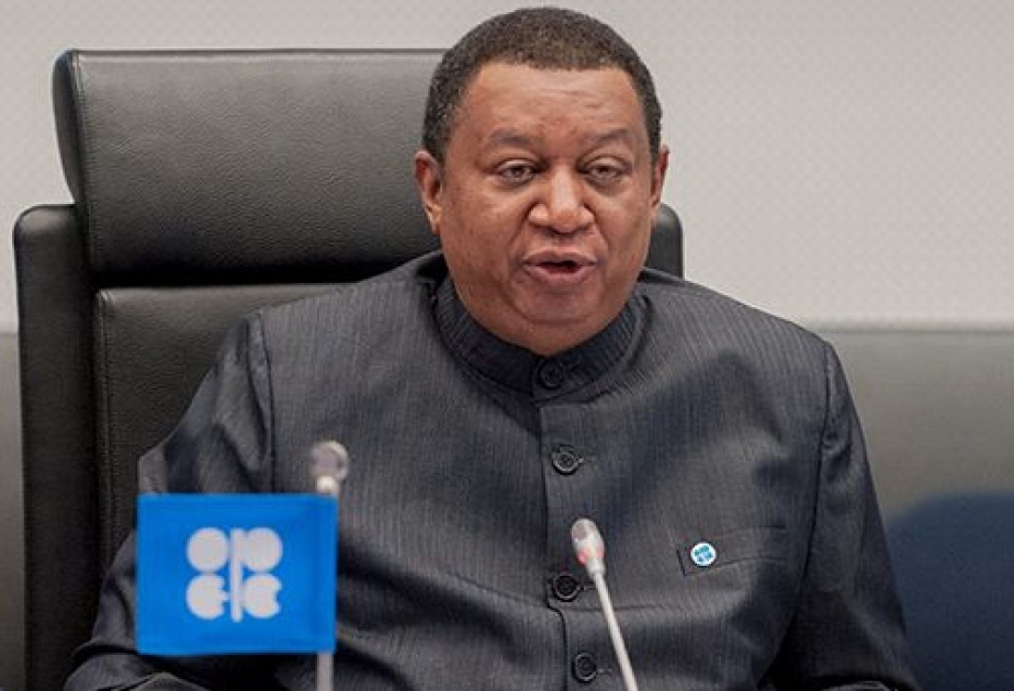OPEC-in baş katibi: Bu il qlobal neft tələbatı sutkada 9,5 milyon barrel azalacaq