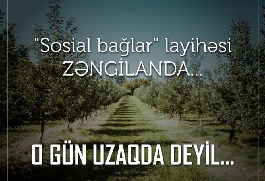 Əmək və Əhalinin Sosial Müdafiəsi Nazirliyindən maraqlı addım: “O gün uzaqda deyil”