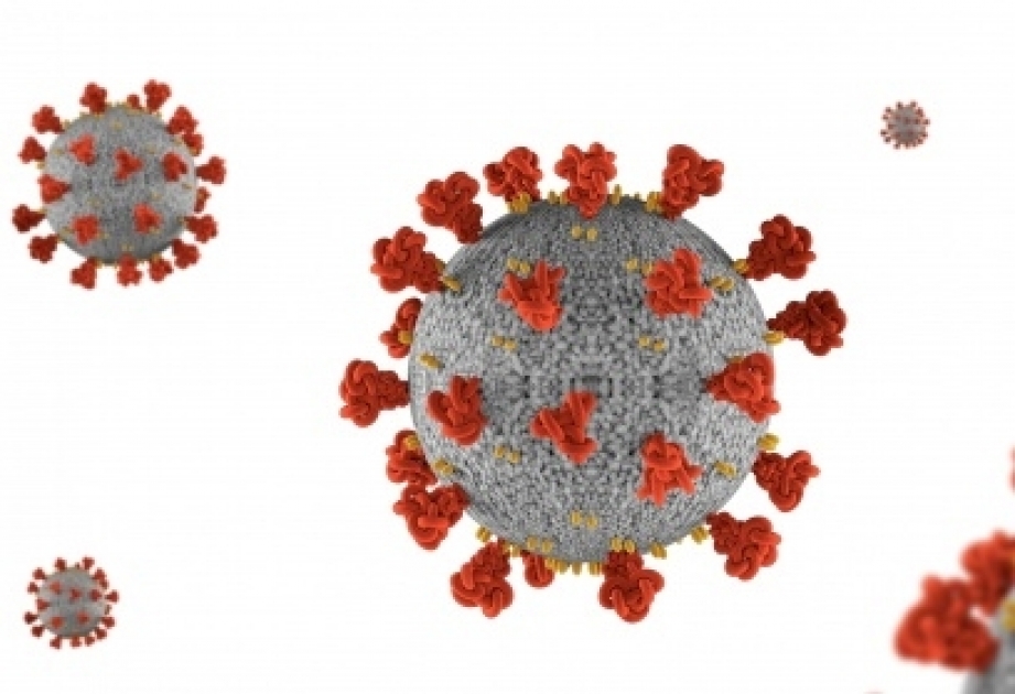 Британские ученые выявили способность коронавируса становиться заразнее