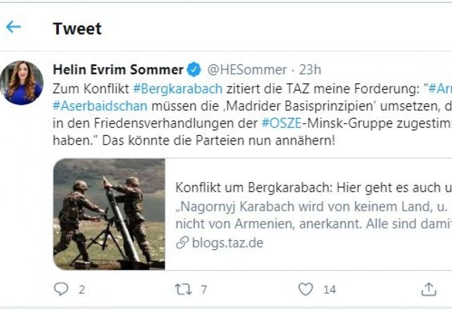 Депутат бундестага подтвердила свою позицию: Мадридские принципы привели бы к урегулированию конфликта