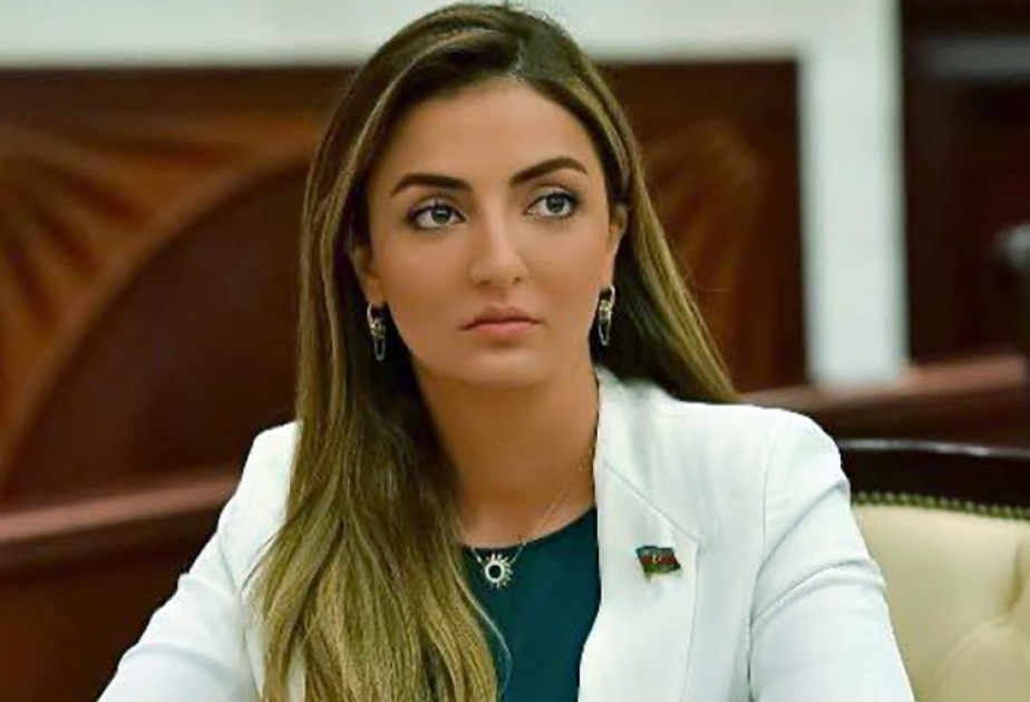 Hərbi əməliyyatlar Ermənistanın həm siyasi, həm də iqtisadi iflası ilə nəticələnəcək