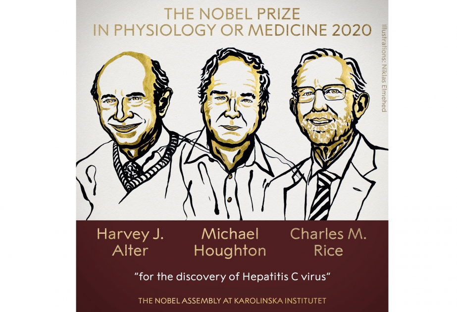 В Стокгольме названы имена лауреатов Нобелевской премии по физиологии и медицине за 2020 год