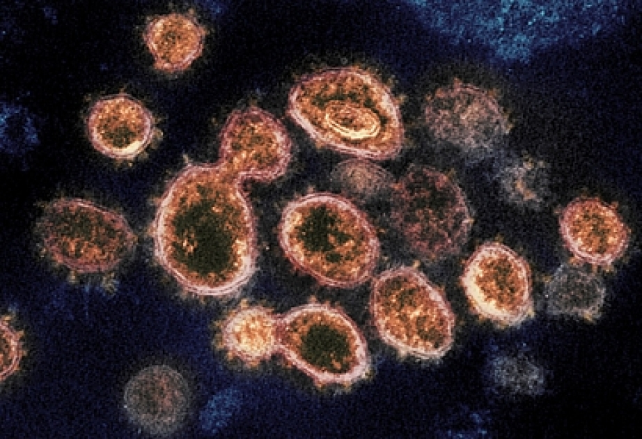 Названы новые способы предотвратить заражение коронавирусом