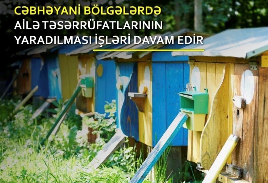 Cəbhəyanı bölgələrdə özünüməşğulluq proqramı üzrə 650 yeni ailə təsərrüfatı yaradıldı
