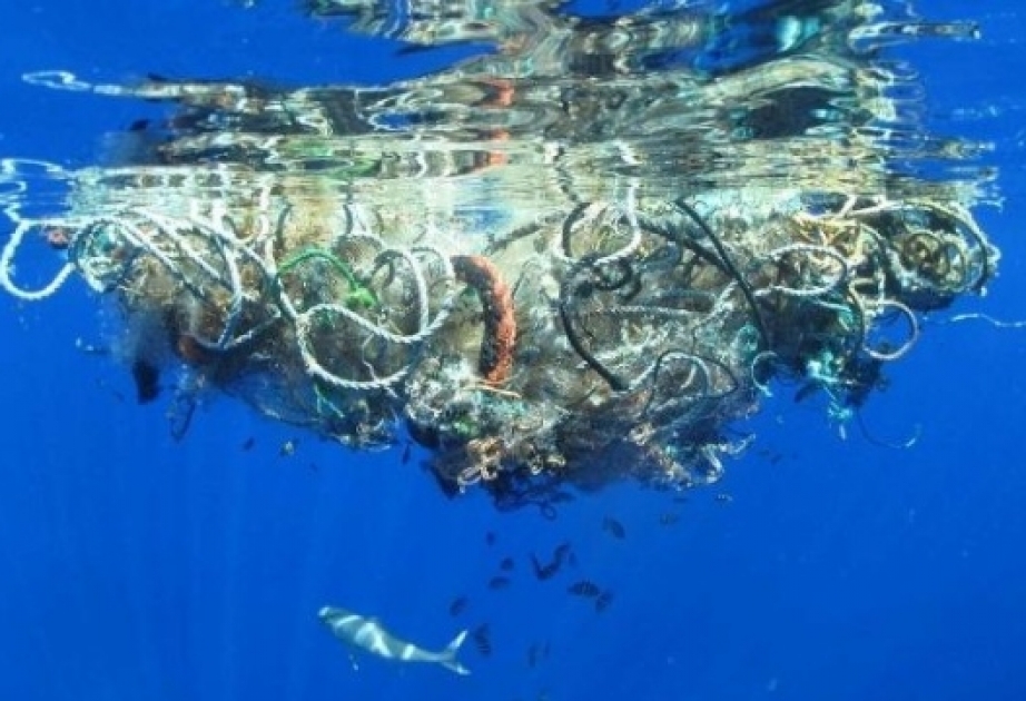 На дне океанов лежит 14 млн. тонн микропластика