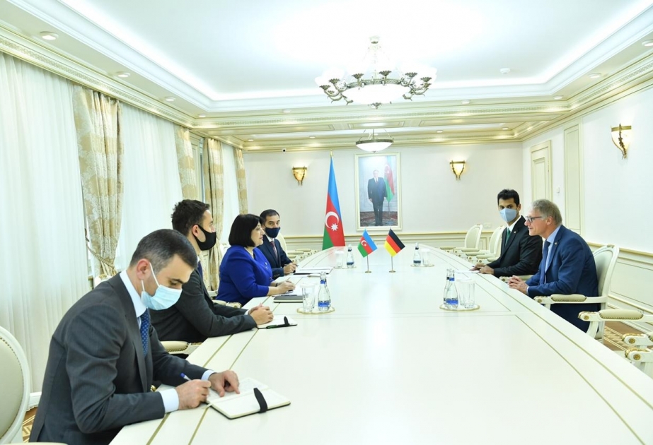 Milli Məclisdə Almaniyanın Azərbaycandakı səfiri ilə görüş keçirilib
