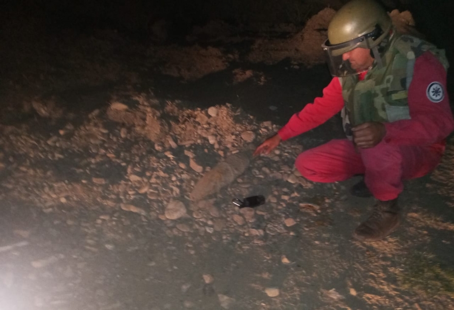ANAMA: Ağstafada bir ədəd top mərmisi zərərsizləşdirilib