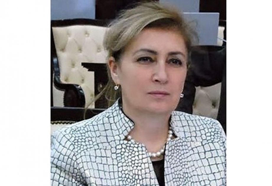 Azərbaycan indi təkcə döyüş meydanında deyil, diplomatiya sahəsində də öz sözünü deyir