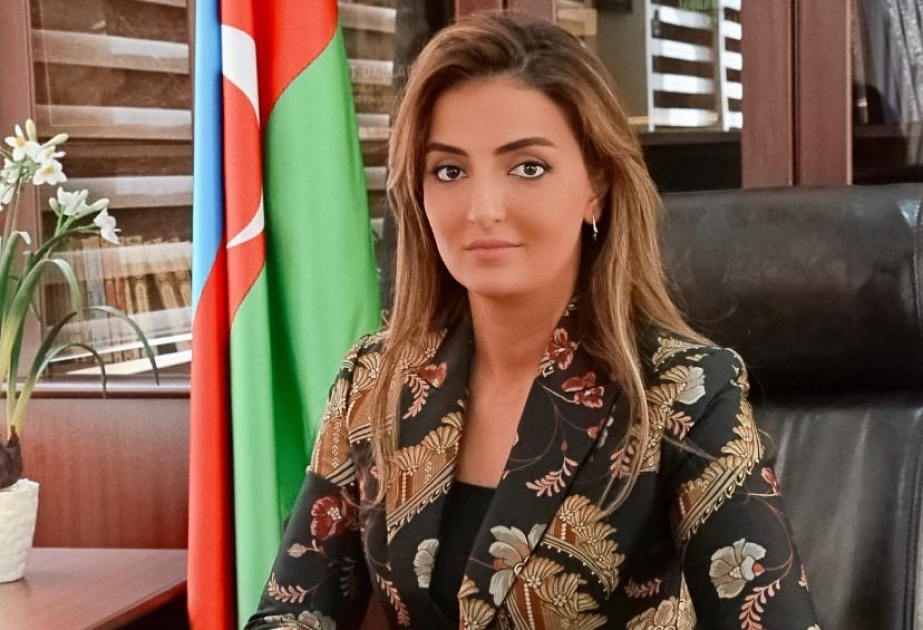 Bundan sonra aparılacaq danışıqların gedişində şərtləri Azərbaycan müəyyənləşdirəcək
