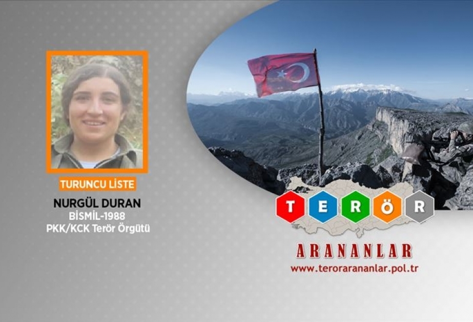 Türkiyədə axtarışda olan PKK terrorçusu məhv edilib