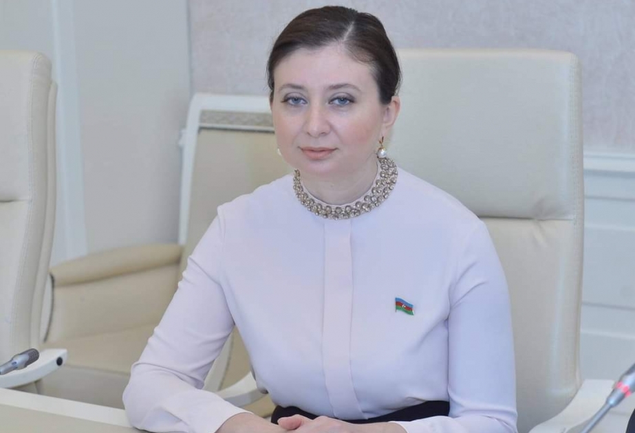 Deputat: Məğlubiyyət ilə barışmayan qarşı tərəf öz aqressiv siyasətini nümayiş etdirir