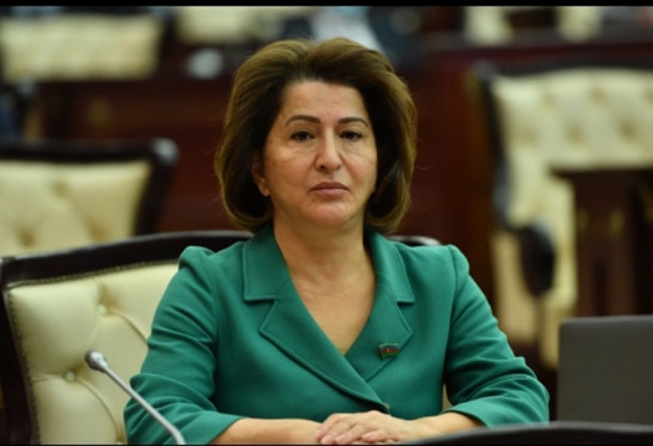 Ermənistanın beynəlxalq konvensiyaları kobud şəkildə pozmasının səbəbi indiyədək ona sanksiyaların tətbiq olunmamasıdır