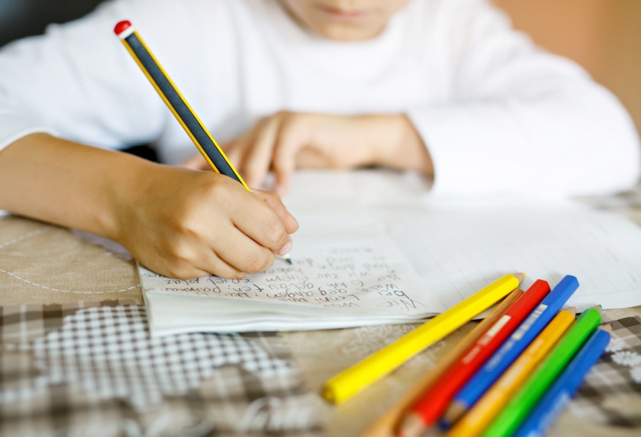 Норвежские ученые объяснили, почему детям важно учиться писать от руки
