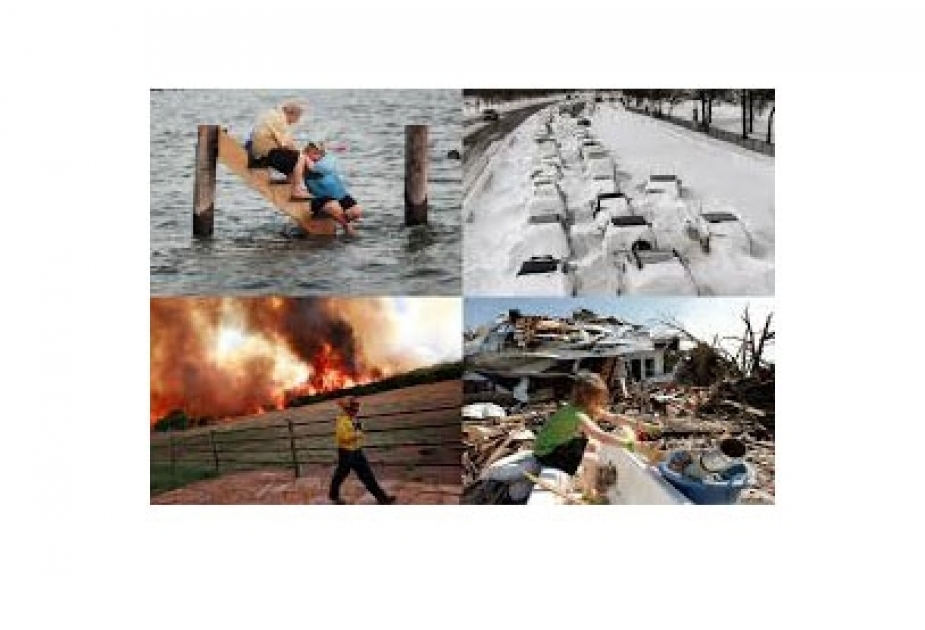 ООН: За последние два десятилетия произошло 7 348 стихийных бедствий, в результате которых погибли 1,23 миллиона человек