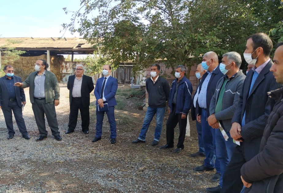 Aqrar sığorta ilə bağlı Salyan və Neftçalada fermerlərlə görüşlər keçirilib