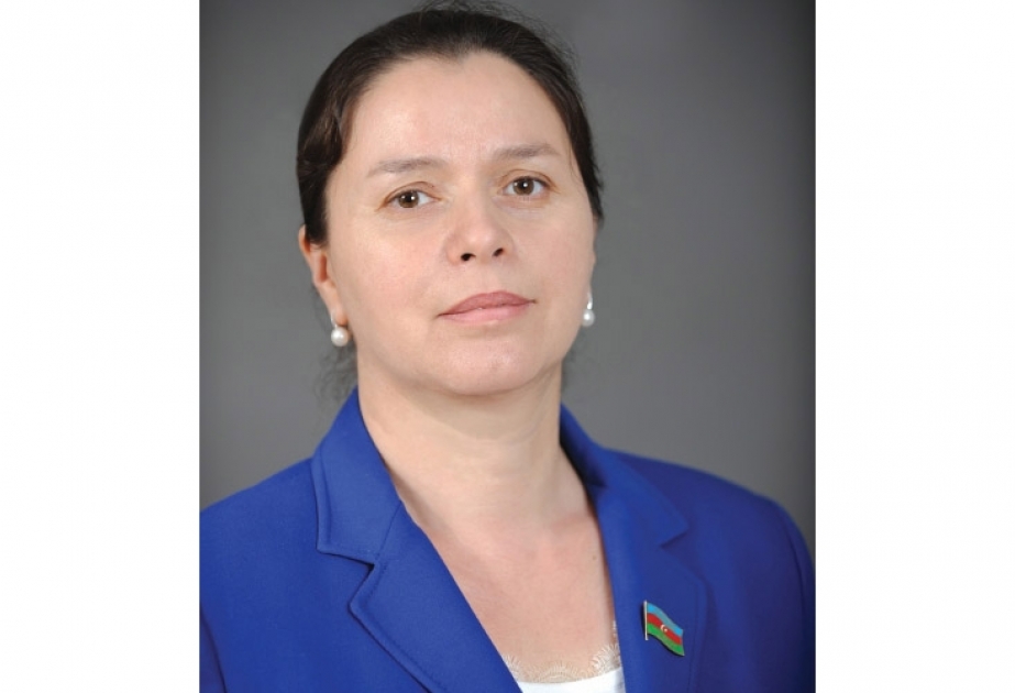 Diplomatiya və hərb cəbhəsində qazanılan uğurlar məhz Prezident İlham Əliyevin yürütdüyü məqsədyönlü fəaliyyətin nəticəsidir