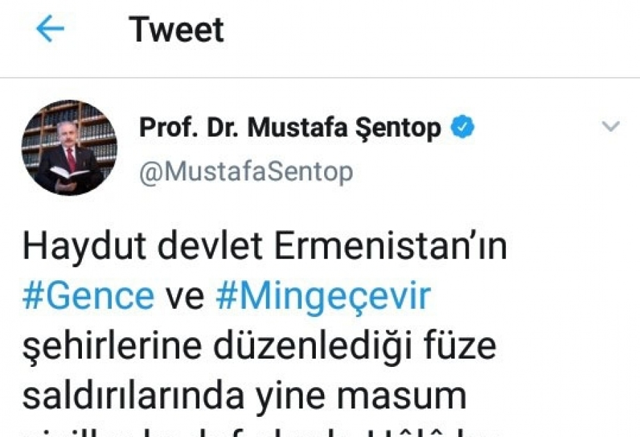 Mustafa Şentop: Müharibə cinayətlərinə göz yumanlar beynəlxalq hüquq qarşısında ittiham olunacaqlar
