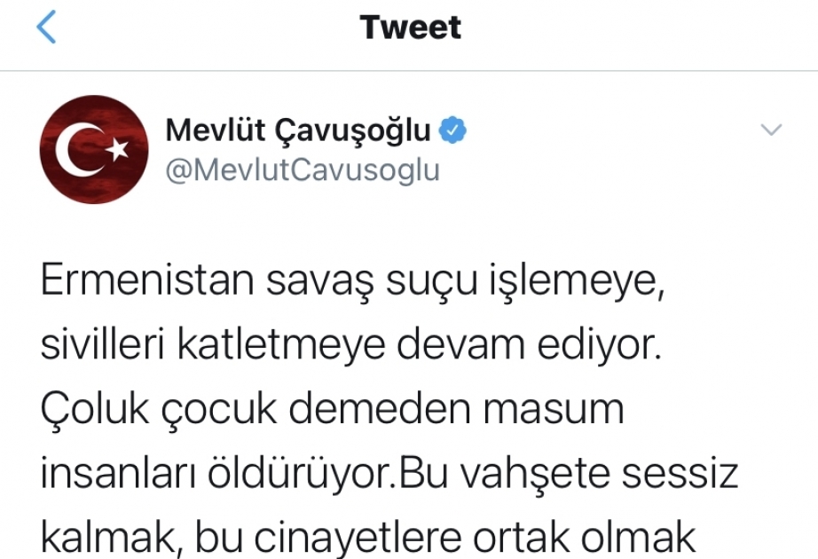 Mevlut Cavusoglu: Silence in face of savagery means complicity in murder
