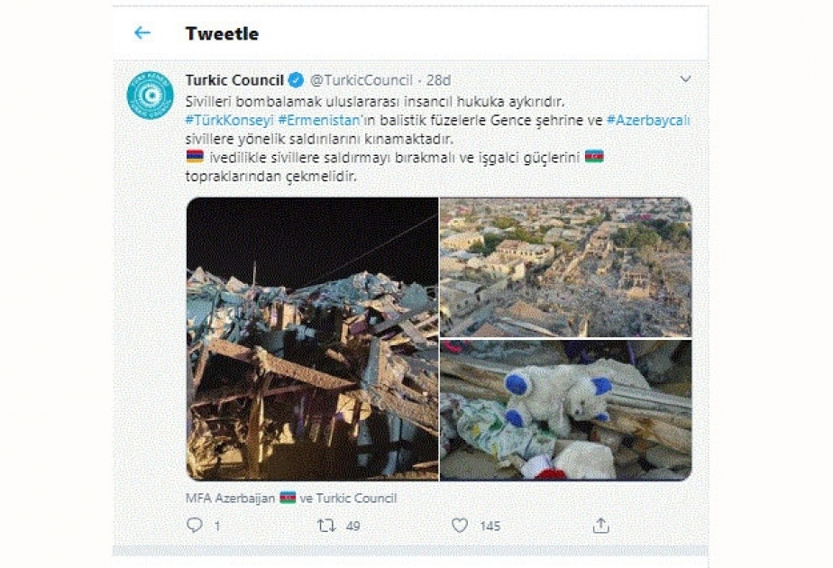 Türk Şurası: Ermənistan israrlı hücumlarını dayandırmalı, işğalçı qüvvələrini geri çəkməlidir