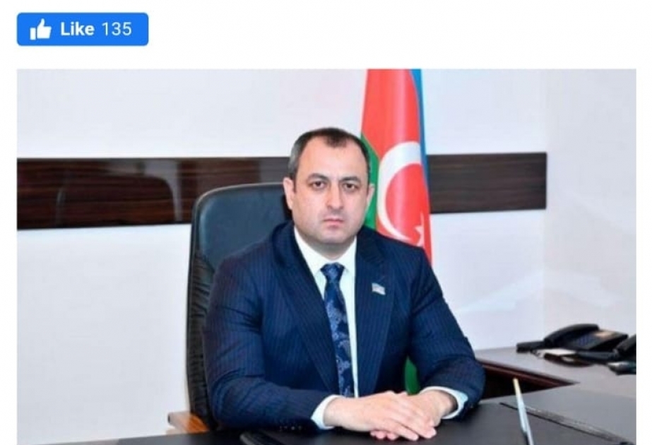 Ermənistan ordusunun mülki vətəndaşlarımızı qətlə yetirməsi barədə həqiqətlər Almaniya ictimaiyyətinin diqqətinə çatdırılıb