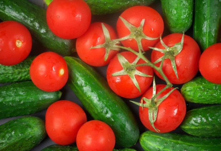 Biləsuvarda pomidor-xiyar istehsalı ötən ildəkindən 7 min ton çox olub