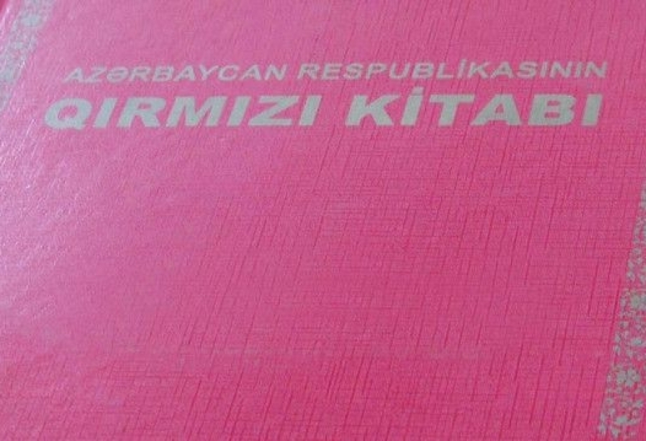 “Qırmızı kitab”ın üçüncü nəşrinin hazırlanmasına başlanılıb
