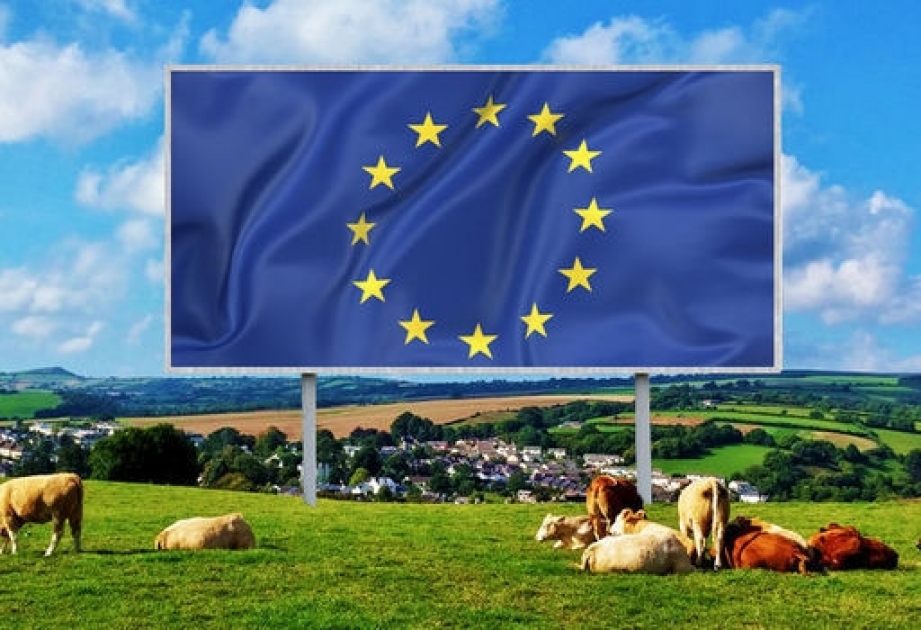 ЕС выделит Испании 47 миллиардов евро на аграрную политику