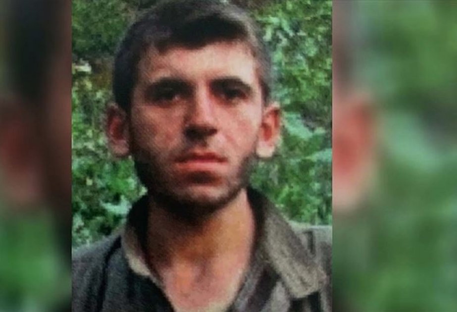 Türkiyədə axtarışda olan daha bir təhlükəli terrorçu məhv edilib