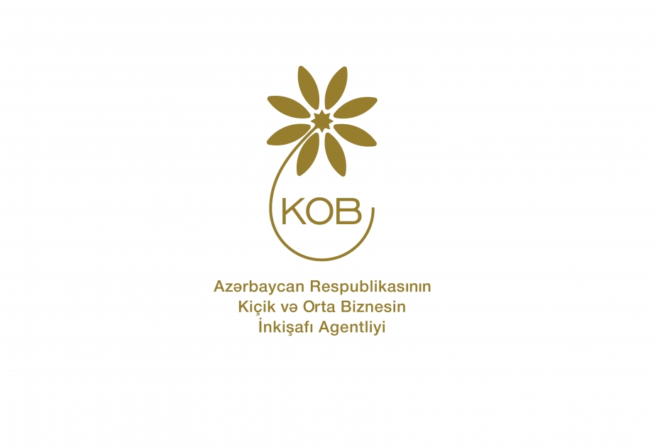 KOB-ların maliyyə resurslarına çıxış imkanlarına dair vebinar keçirilib