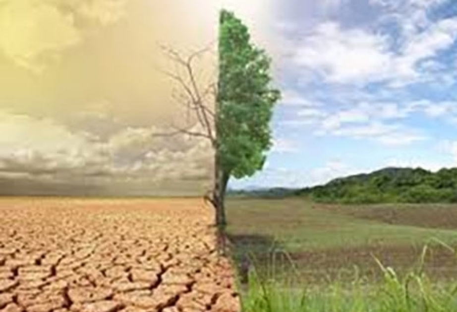 Entre los años 1990 y 2020, la temperatura media en los países de Asia Central aumentó en 2 grados centígrados