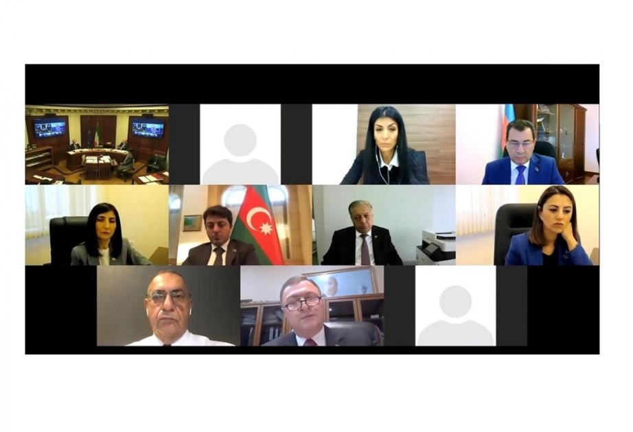 Milli Məclis və İtaliya Senatı deputatlarının videokonfrans formatında görüşü keçirilib