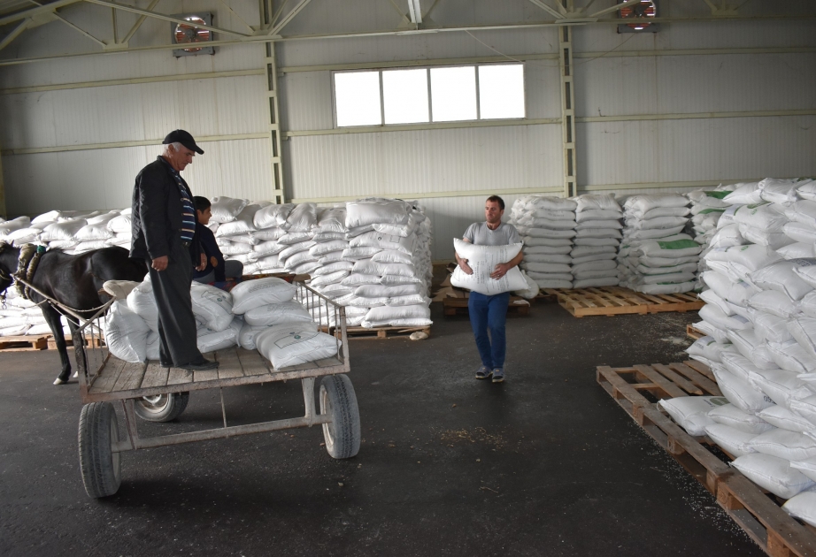 Şabranlı fermerlər güzəştli şərtlərlə 1355 ton mineral gübrə alıblar VİDEO