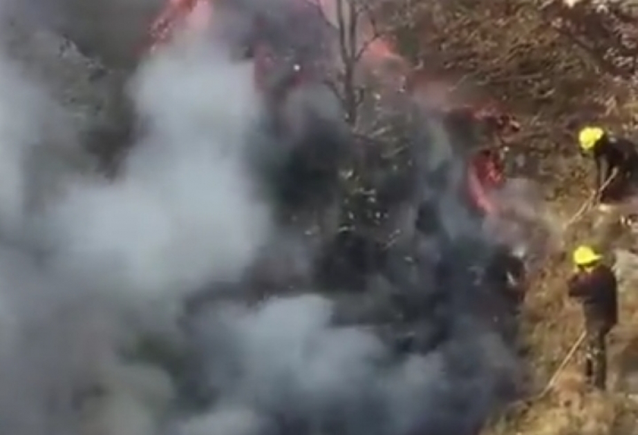 Ermənistan silahlı qüvvələrinin Daşkəsən rayonuna hücumu nəticəsində meşə yanğını başlayıb VİDEO