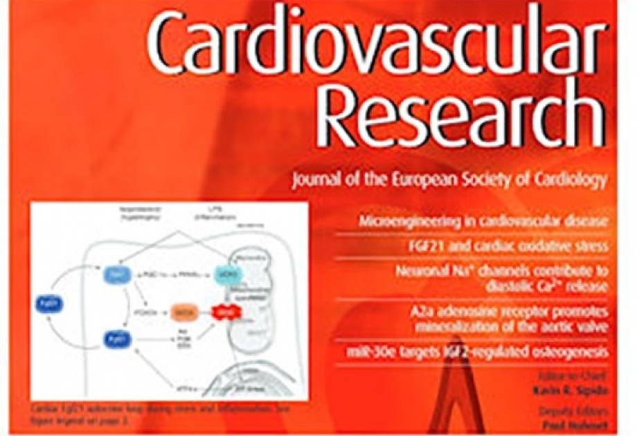 Cardiovascular Research: Загрязнение воздуха может увеличить смертность от COVID-19