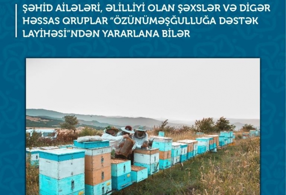 Şəhid ailələri, əlilliyi olan şəxslər və digər həssas qruplar “Özünüməşğulluğa Dəstək Layihəsi”ndən də yararlana biləcəklər