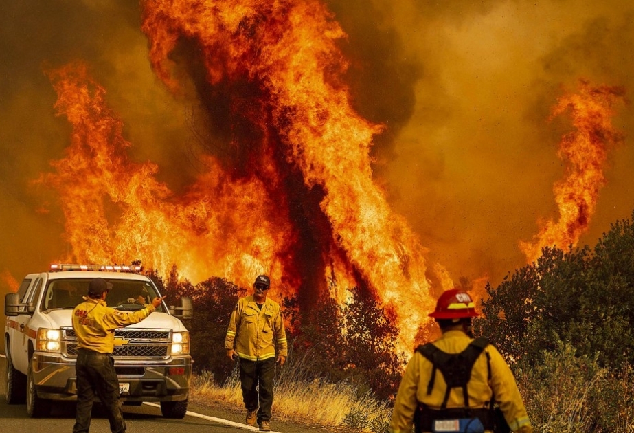 In Kalifornien kämpfen derzeit 4000 Feuerwehrleute gegen 22 Waldbrände